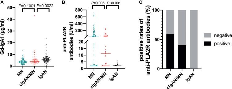 https://cdn.ncbi.nlm.nih.gov/pmc/blobs/f1b1/8961684/a92324546323/fimmu-13-846323-g003.jpg