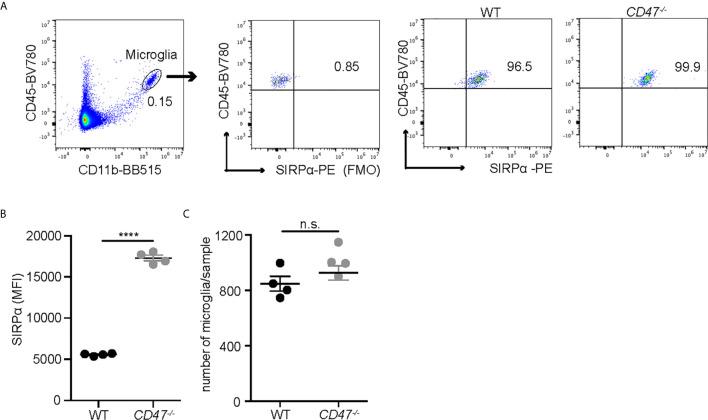 https://cdn.ncbi.nlm.nih.gov/pmc/blobs/f1b6/8174453/41d7aebe2ef5/fimmu-12-680568-g002.jpg