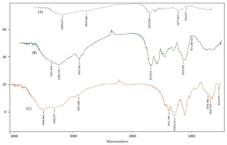 https://cdn.ncbi.nlm.nih.gov/pmc/blobs/f1b7/5587958/f95c0d5b7c23/BMRI2017-8972678.004.jpg