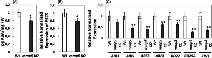 https://cdn.ncbi.nlm.nih.gov/pmc/blobs/f1b7/8247326/8c3e29515c36/PPL-172-1045-g005.jpg