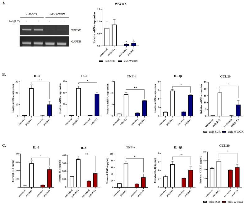 https://cdn.ncbi.nlm.nih.gov/pmc/blobs/f1b8/10779412/736ba3a9193a/ijms-25-00167-g003.jpg