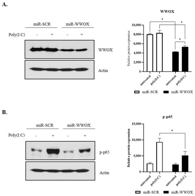 https://cdn.ncbi.nlm.nih.gov/pmc/blobs/f1b8/10779412/8cdce1b97e37/ijms-25-00167-g002.jpg