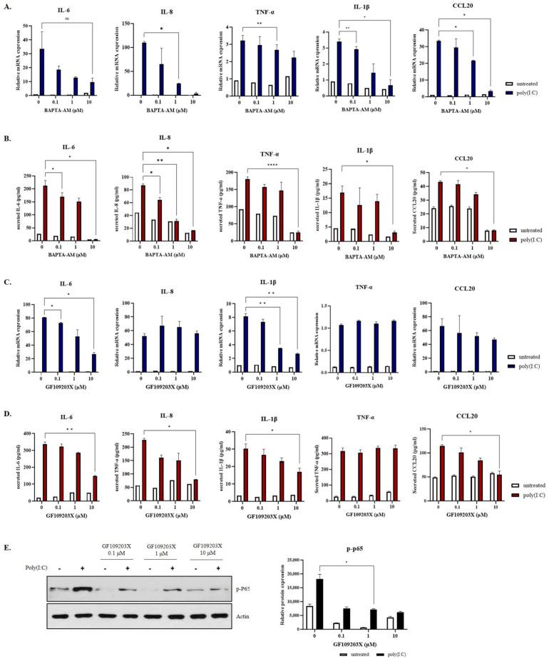 https://cdn.ncbi.nlm.nih.gov/pmc/blobs/f1b8/10779412/d54f28283a18/ijms-25-00167-g005.jpg