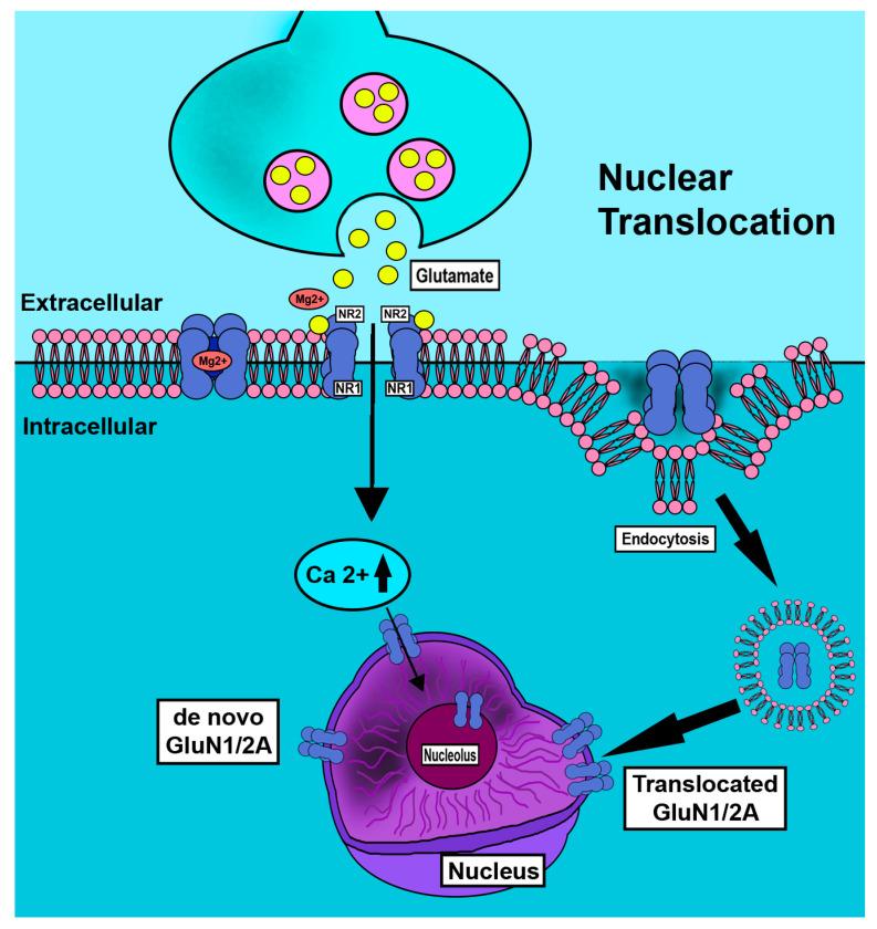 https://cdn.ncbi.nlm.nih.gov/pmc/blobs/f1bb/10488196/667936928e44/ijms-24-13196-g004.jpg