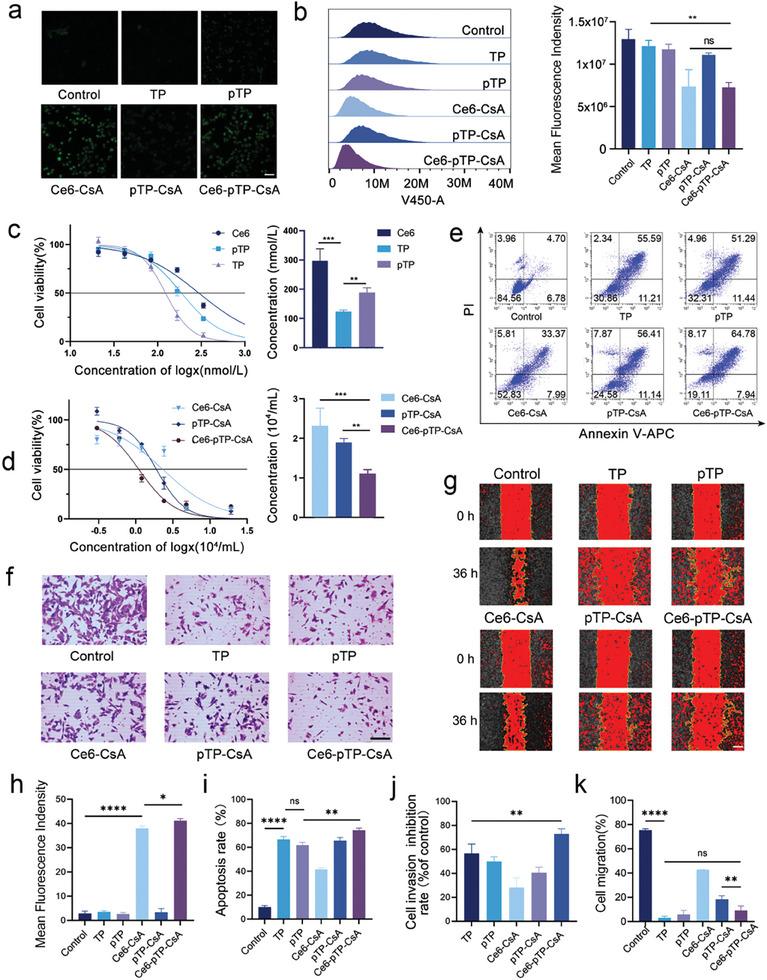 https://cdn.ncbi.nlm.nih.gov/pmc/blobs/f1bb/11884613/1bb994175331/ADVS-12-2414307-g006.jpg