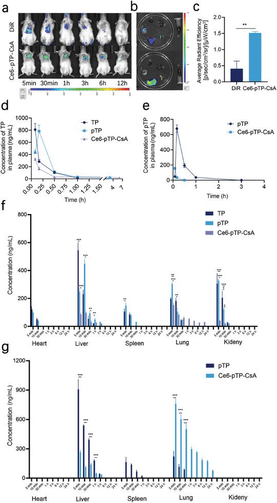 https://cdn.ncbi.nlm.nih.gov/pmc/blobs/f1bb/11884613/5a08954455cd/ADVS-12-2414307-g004.jpg