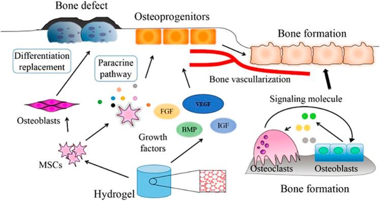 https://cdn.ncbi.nlm.nih.gov/pmc/blobs/f1bc/9511792/5ffb18ddf793/fbioe-10-969843-g006.jpg