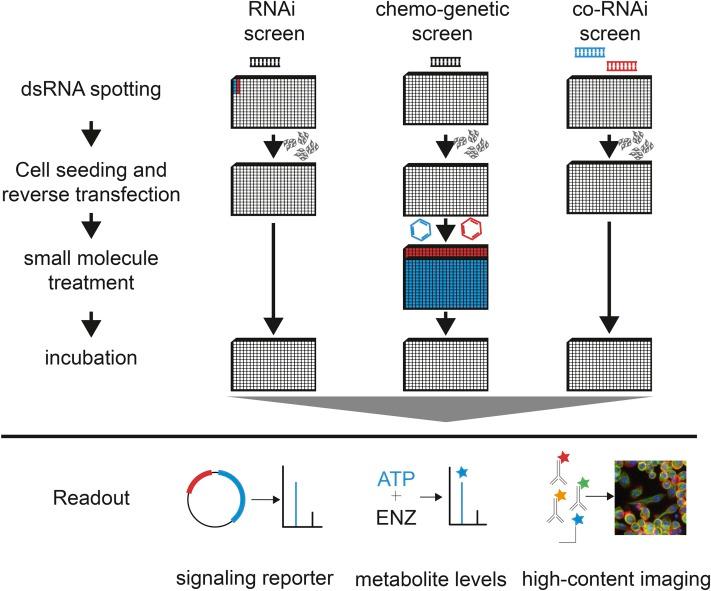 https://cdn.ncbi.nlm.nih.gov/pmc/blobs/f1be/5844339/02c6f441628f/853fig3.jpg