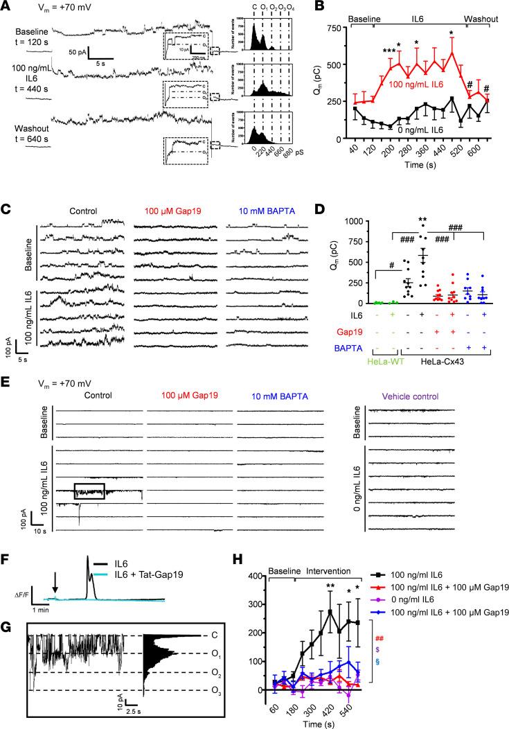 https://cdn.ncbi.nlm.nih.gov/pmc/blobs/f1c1/9462469/14f6f5007263/jciinsight-7-135263-g146.jpg