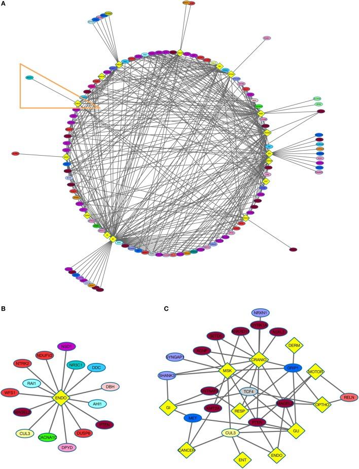 https://cdn.ncbi.nlm.nih.gov/pmc/blobs/f1c2/4992686/bafb64940053/fpsyt-07-00142-g002.jpg