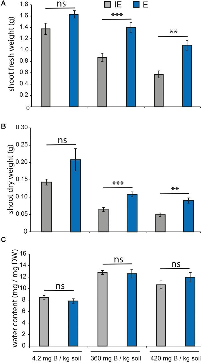 https://cdn.ncbi.nlm.nih.gov/pmc/blobs/f1c4/6091279/75465e7555fd/fpls-09-01142-g009.jpg