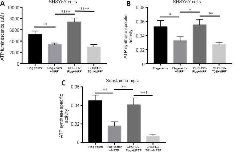 https://cdn.ncbi.nlm.nih.gov/pmc/blobs/f1c5/10479855/9b5cdb4e4794/NRR-19-196-g003.jpg