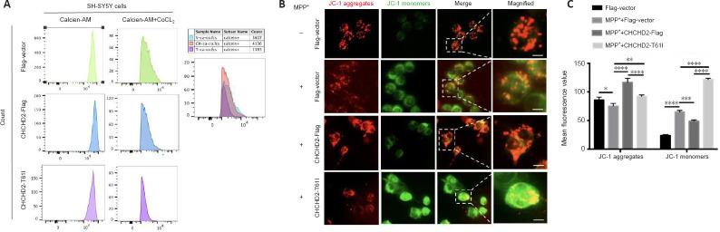 https://cdn.ncbi.nlm.nih.gov/pmc/blobs/f1c5/10479855/b8dbf2a81802/NRR-19-196-g004.jpg