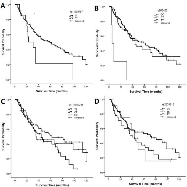 https://cdn.ncbi.nlm.nih.gov/pmc/blobs/f1c5/5346738/16ab5b83763f/oncotarget-07-79596-g002.jpg