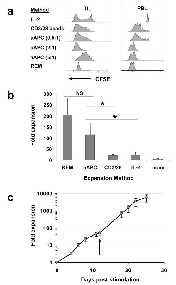 https://cdn.ncbi.nlm.nih.gov/pmc/blobs/f1c6/3162913/3d5dab2bdeee/1479-5876-9-131-2.jpg
