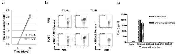 https://cdn.ncbi.nlm.nih.gov/pmc/blobs/f1c6/3162913/577f22a9dd40/1479-5876-9-131-4.jpg