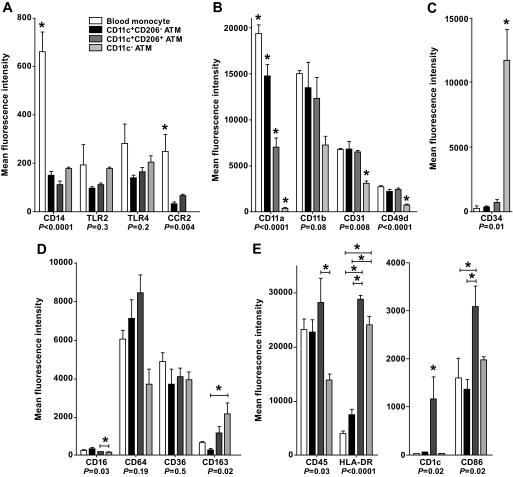 https://cdn.ncbi.nlm.nih.gov/pmc/blobs/f1c8/2889764/d8514f511033/zdb0071061650004.jpg