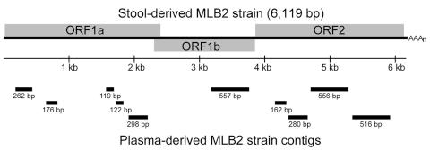 https://cdn.ncbi.nlm.nih.gov/pmc/blobs/f1c9/3310569/171c87ee98da/11-0496-F.jpg
