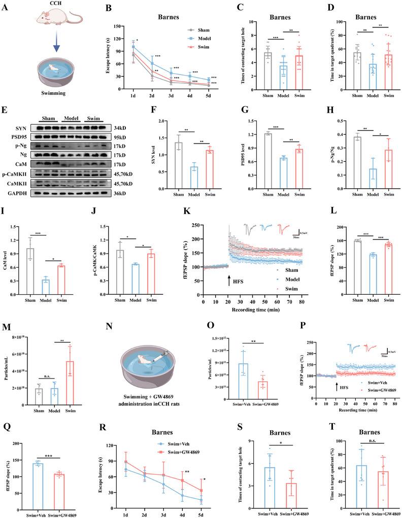 https://cdn.ncbi.nlm.nih.gov/pmc/blobs/f1ca/12279231/628c4b0cf110/ADVS-12-2410209-g006.jpg