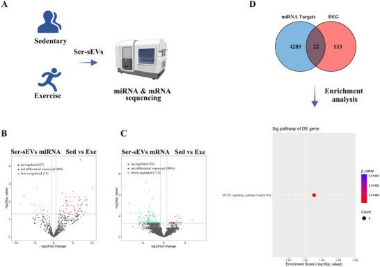 https://cdn.ncbi.nlm.nih.gov/pmc/blobs/f1ca/12279231/a7cbc84de8d7/ADVS-12-2410209-g011.jpg