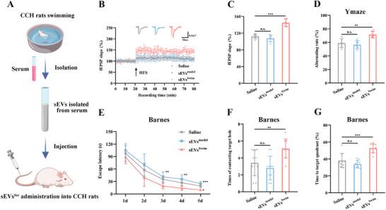 https://cdn.ncbi.nlm.nih.gov/pmc/blobs/f1ca/12279231/b65dc8037f8f/ADVS-12-2410209-g002.jpg