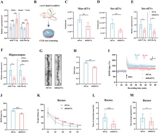 https://cdn.ncbi.nlm.nih.gov/pmc/blobs/f1ca/12279231/d2e44706758c/ADVS-12-2410209-g001.jpg