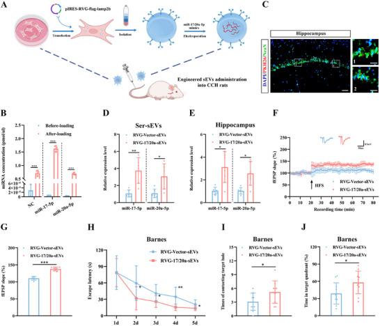 https://cdn.ncbi.nlm.nih.gov/pmc/blobs/f1ca/12279231/d34d37b356fd/ADVS-12-2410209-g009.jpg