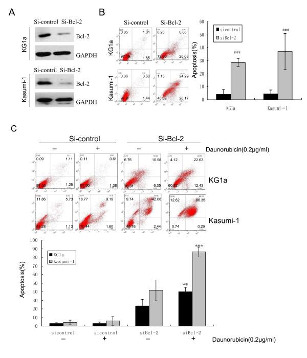 https://cdn.ncbi.nlm.nih.gov/pmc/blobs/f1ca/3118333/9aaea790dbef/1479-5876-9-71-6.jpg