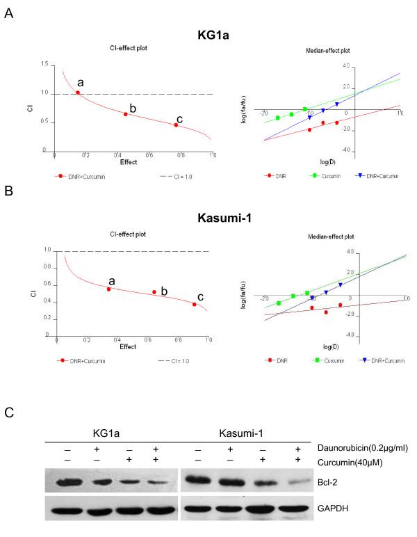 https://cdn.ncbi.nlm.nih.gov/pmc/blobs/f1ca/3118333/eb899abda2ed/1479-5876-9-71-5.jpg