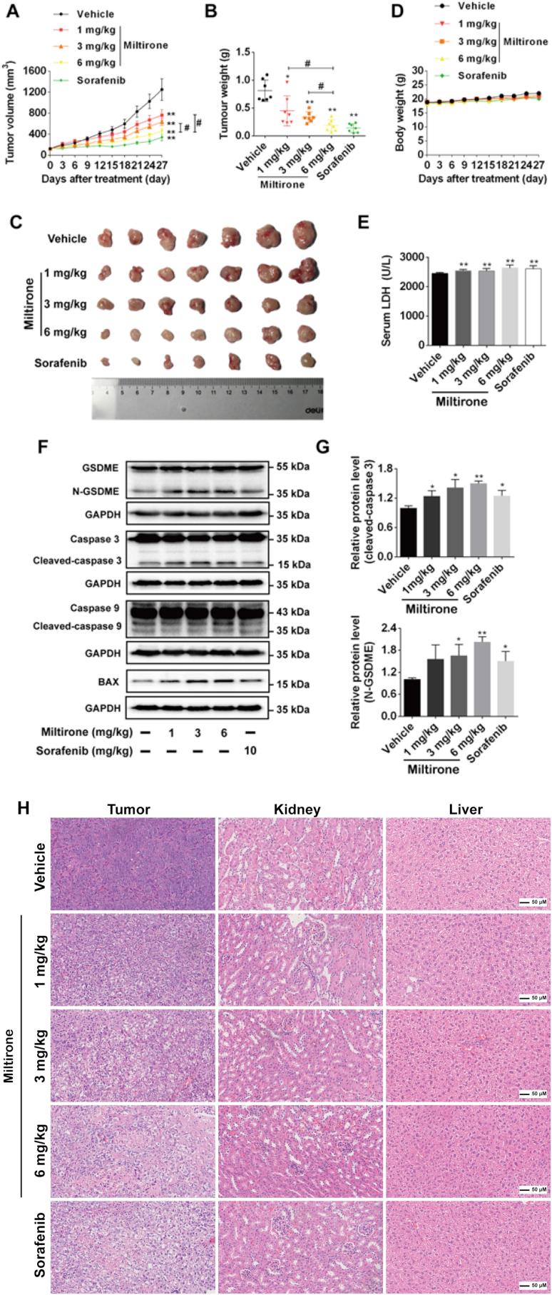 https://cdn.ncbi.nlm.nih.gov/pmc/blobs/f1ca/7488361/3854b964ba7e/gr8.jpg
