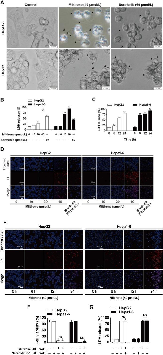 https://cdn.ncbi.nlm.nih.gov/pmc/blobs/f1ca/7488361/b0810c3dd828/gr2.jpg