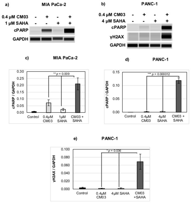 https://cdn.ncbi.nlm.nih.gov/pmc/blobs/f1cf/7699281/178183379a85/molecules-25-05407-g004.jpg