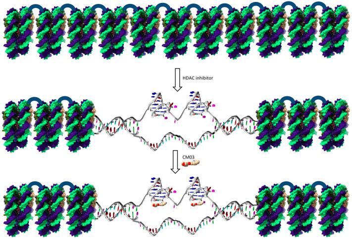 https://cdn.ncbi.nlm.nih.gov/pmc/blobs/f1cf/7699281/520111f8301d/molecules-25-05407-g006.jpg