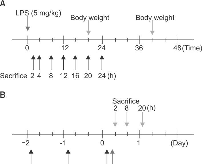 https://cdn.ncbi.nlm.nih.gov/pmc/blobs/f1d3/4304524/089741a3593b/kjhbps-17-89-g001.jpg