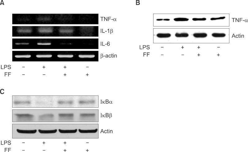 https://cdn.ncbi.nlm.nih.gov/pmc/blobs/f1d3/4304524/29bcc7875009/kjhbps-17-89-g015.jpg