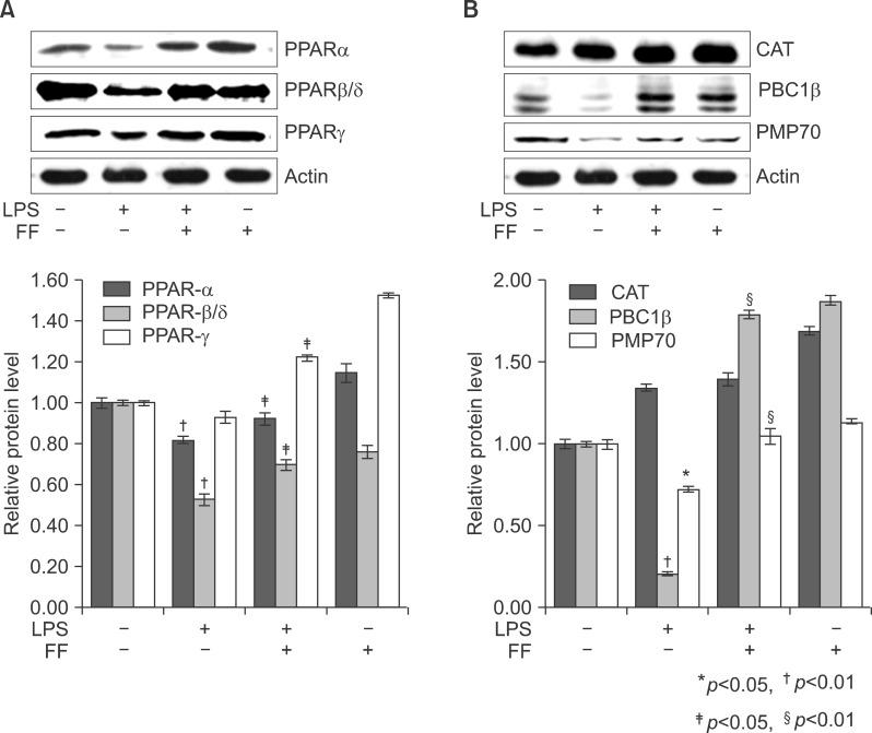 https://cdn.ncbi.nlm.nih.gov/pmc/blobs/f1d3/4304524/54aabae16cdb/kjhbps-17-89-g017.jpg
