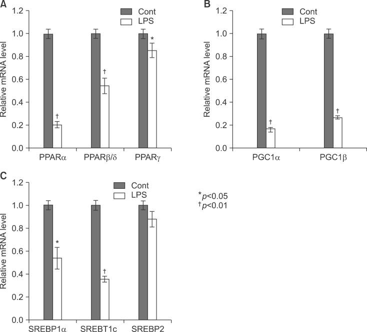 https://cdn.ncbi.nlm.nih.gov/pmc/blobs/f1d3/4304524/e14f3138260e/kjhbps-17-89-g006.jpg