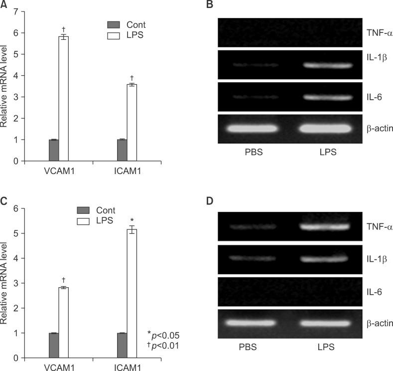 https://cdn.ncbi.nlm.nih.gov/pmc/blobs/f1d3/4304524/f6be8eefe2af/kjhbps-17-89-g010.jpg