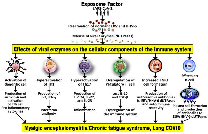 https://cdn.ncbi.nlm.nih.gov/pmc/blobs/f1d5/9967513/2b7bb5633e6f/viruses-15-00400-g005.jpg