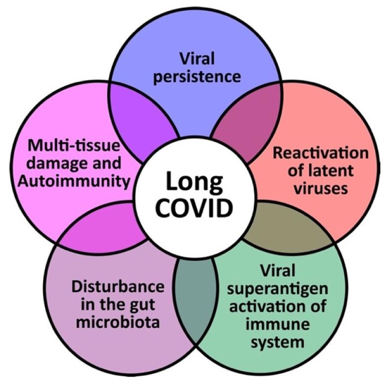 https://cdn.ncbi.nlm.nih.gov/pmc/blobs/f1d5/9967513/a01efa90024e/viruses-15-00400-g002.jpg