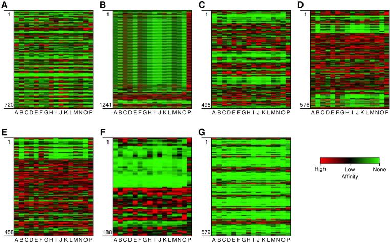 https://cdn.ncbi.nlm.nih.gov/pmc/blobs/f1d6/12229876/f4471ba1d965/fonc-15-1611991-g001.jpg