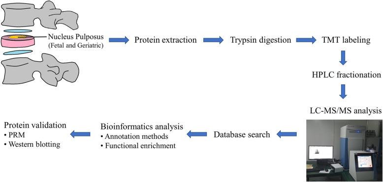 https://cdn.ncbi.nlm.nih.gov/pmc/blobs/f1d8/7265631/461056ef5a5d/12891_2020_3329_Fig1_HTML.jpg