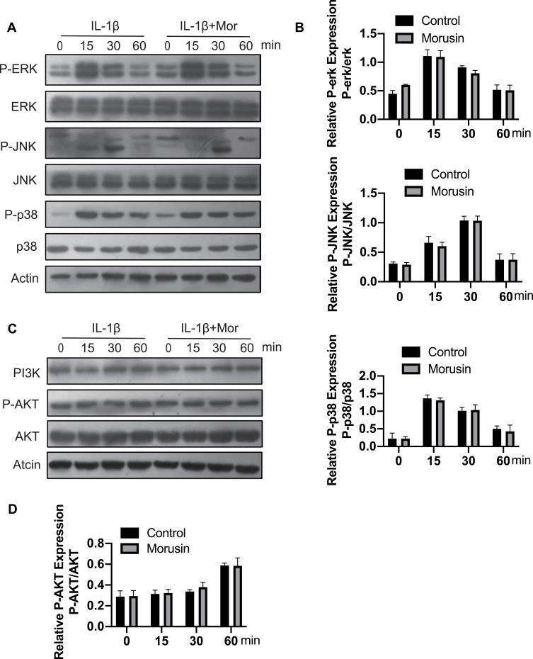 https://cdn.ncbi.nlm.nih.gov/pmc/blobs/f1da/7105369/5e52528910d3/DDDT-14-1227-g0006.jpg