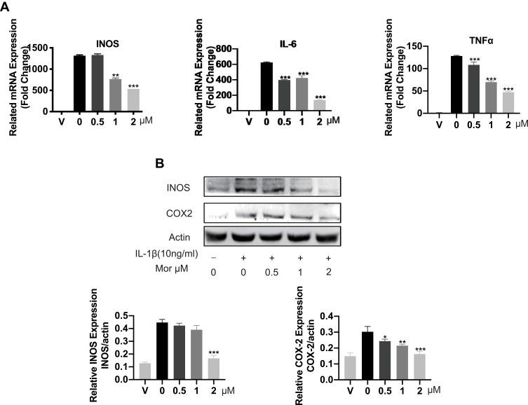 https://cdn.ncbi.nlm.nih.gov/pmc/blobs/f1da/7105369/a213c96d61b9/DDDT-14-1227-g0002.jpg