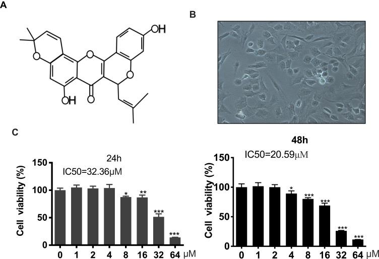 https://cdn.ncbi.nlm.nih.gov/pmc/blobs/f1da/7105369/cde93d400340/DDDT-14-1227-g0001.jpg