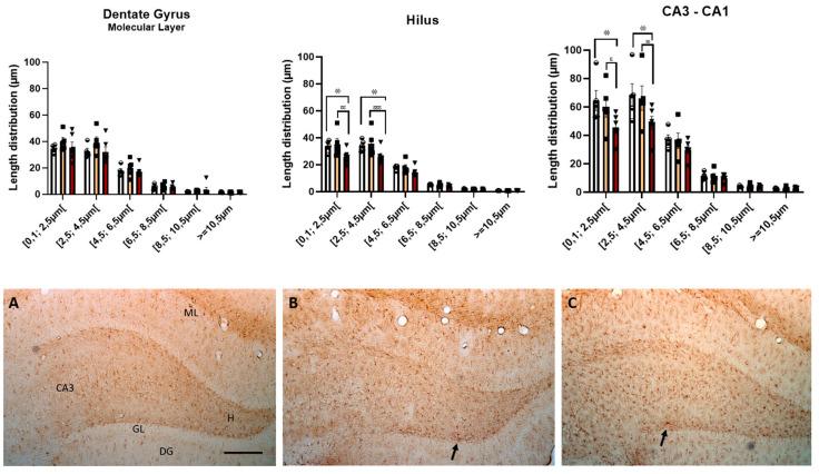 https://cdn.ncbi.nlm.nih.gov/pmc/blobs/f1db/10053405/8e0b877811cc/nutrients-15-01370-g011.jpg