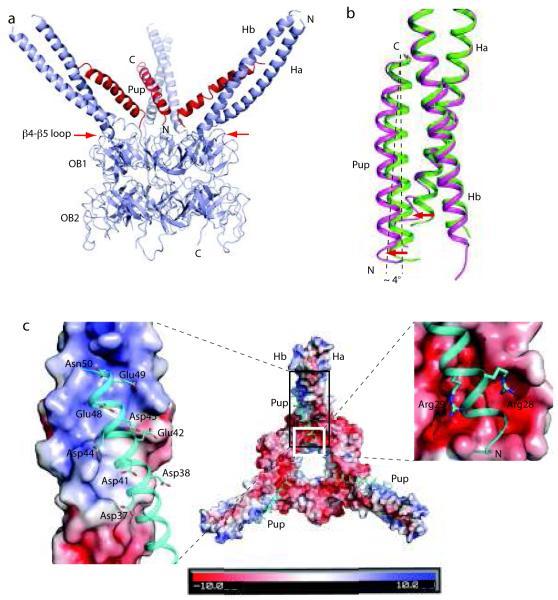 https://cdn.ncbi.nlm.nih.gov/pmc/blobs/f1db/2988878/70f0e81ff2db/nihms-232421-f0002.jpg