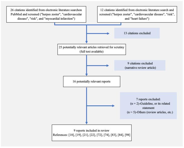 https://cdn.ncbi.nlm.nih.gov/pmc/blobs/f1dd/10974237/7aea01e5221c/vaccines-12-00252-g001.jpg
