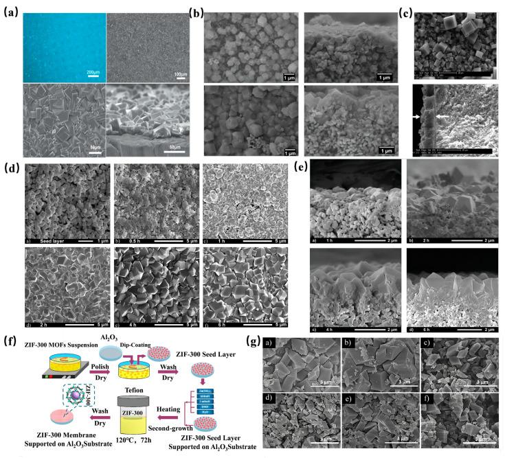 https://cdn.ncbi.nlm.nih.gov/pmc/blobs/f1de/11013246/29a60e35c58b/molecules-29-01615-g008.jpg