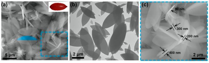 https://cdn.ncbi.nlm.nih.gov/pmc/blobs/f1de/11013246/b20834f996b0/molecules-29-01615-g006.jpg